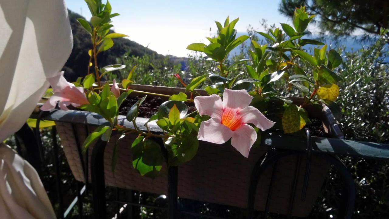 Frühstückspension La Casa Dei Limoni