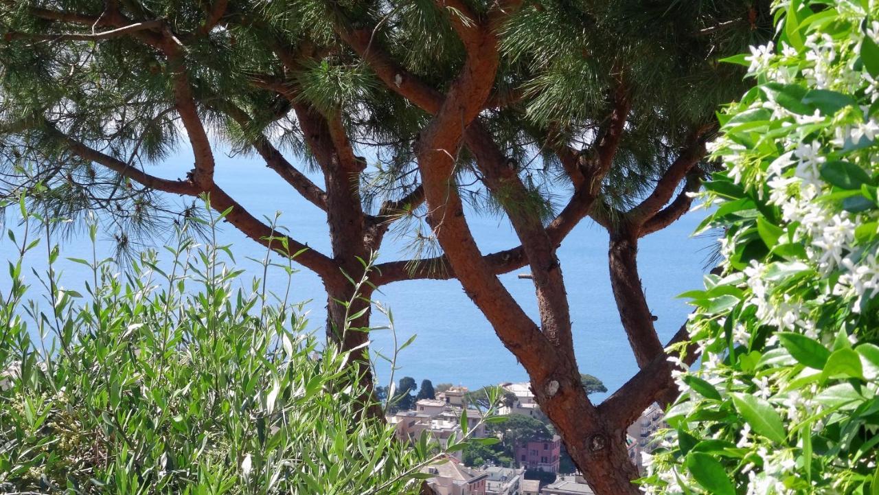 La Casa Dei Limoni 2* Genua