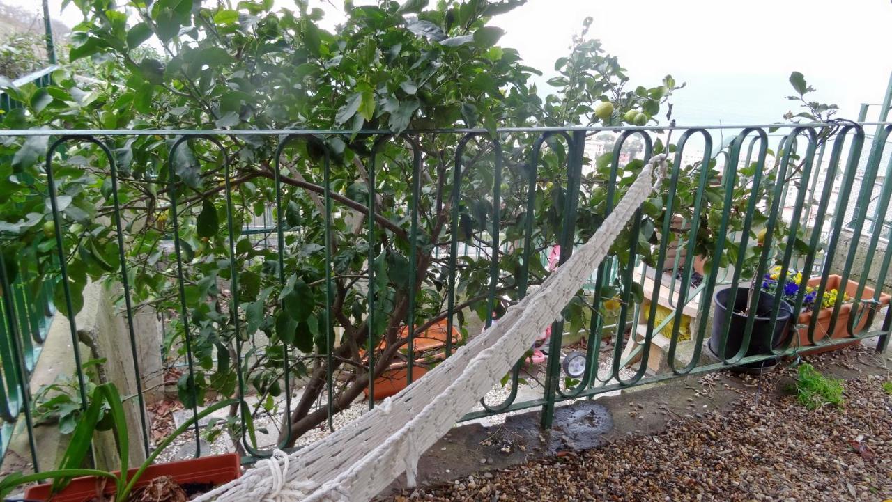 La Casa Dei Limoni Frühstückspension