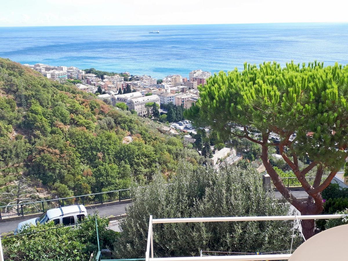 Bed & Breakfast La Casa Dei Limoni 2*