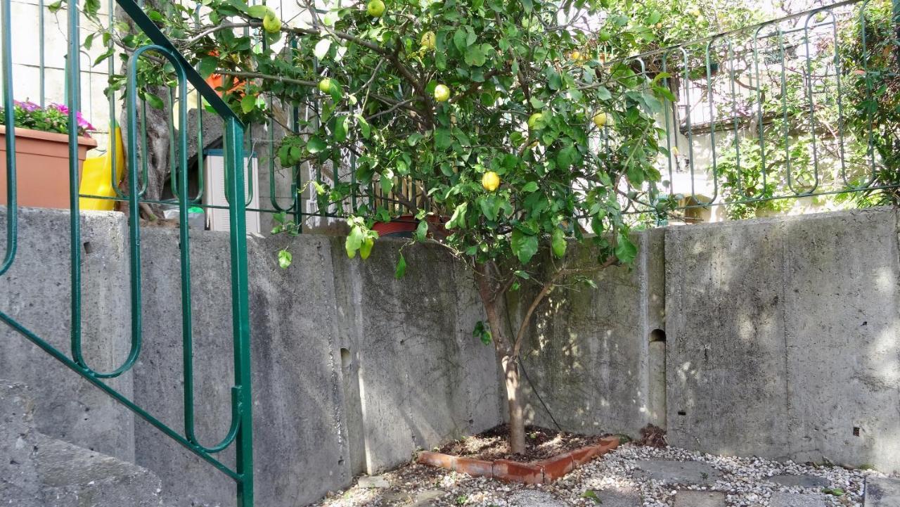 La Casa Dei Limoni